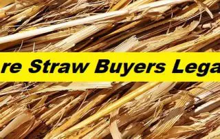 Are Straw Buyers Illegal